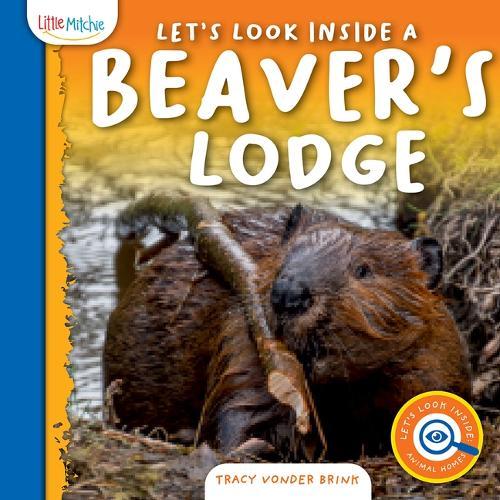Let's Look Inside a Beaver's Lodge