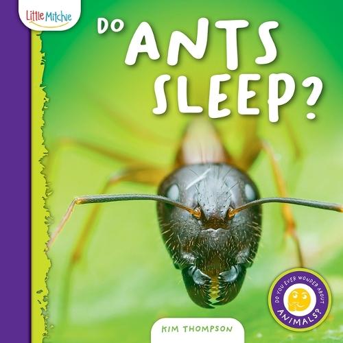 Do Ants Sleep?