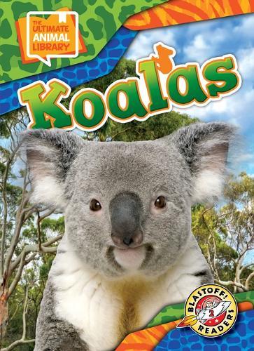 Koalas