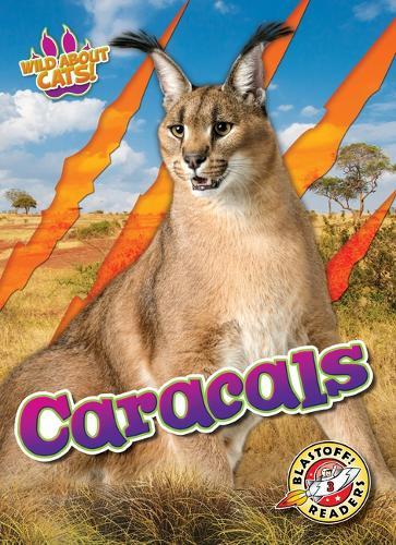 Caracals