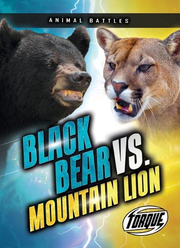 Black Bear vs. Mountain Lion