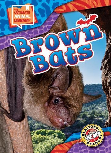 Brown Bats