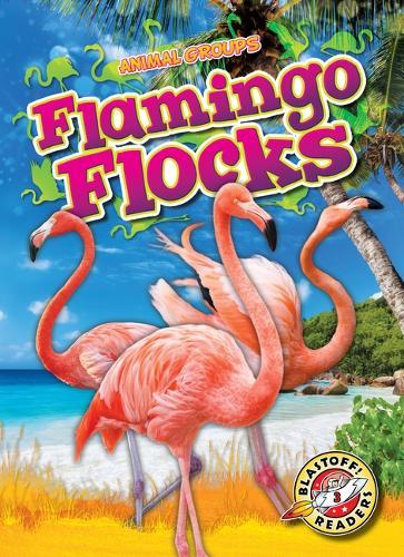 Flamingo Flocks