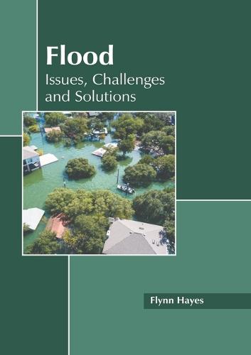 Flood: Issues, Challenges and Solutions