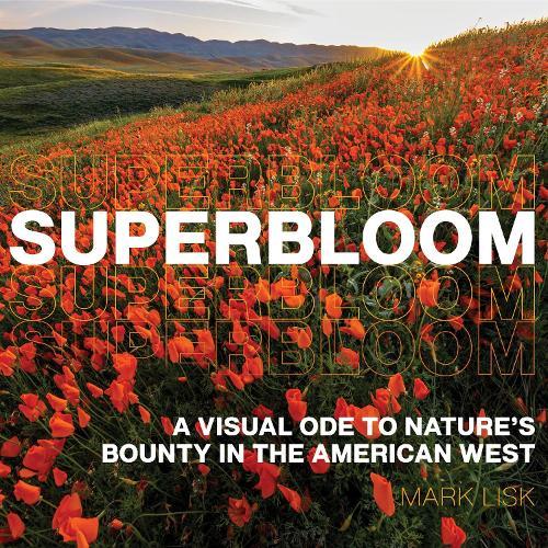 Superbloom: A Visual Ode to Nature's Bounty in the American West