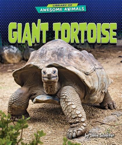 Giant Tortoise
