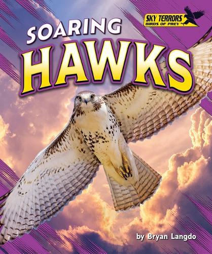 Soaring Hawks