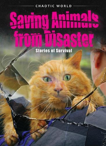 Saving Animals from Disaster: Stories of Survival