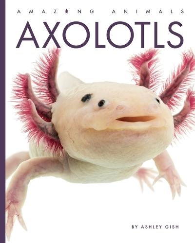 Axolotls