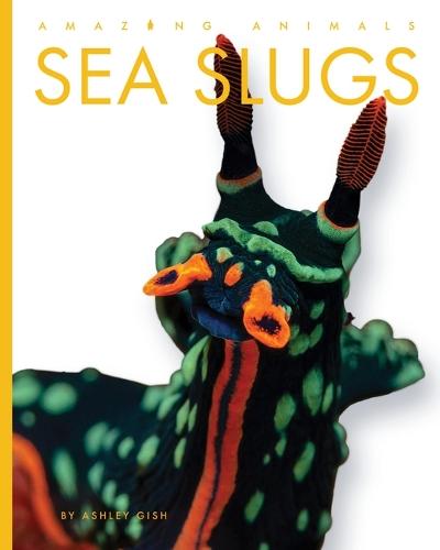 Sea Slugs