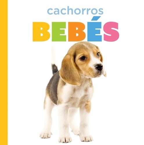 Cachorros Bebés