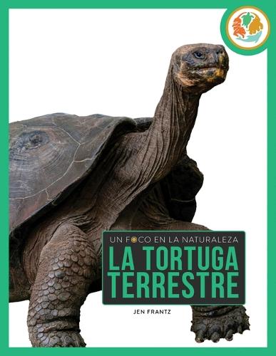 La Tortuga Terrestre