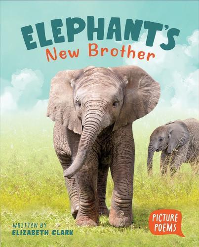 Elephant's New Brother
