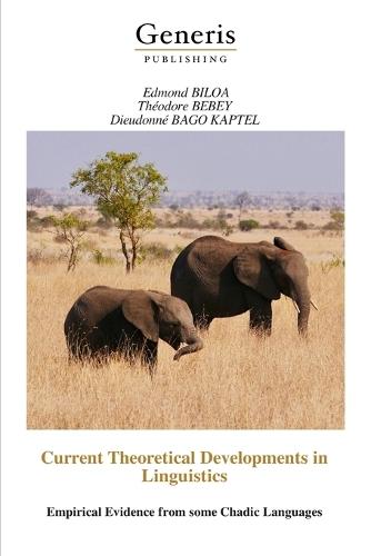 Current Theoretical Developments in Linguistics: Empirical Evidence from some Chadic Languages