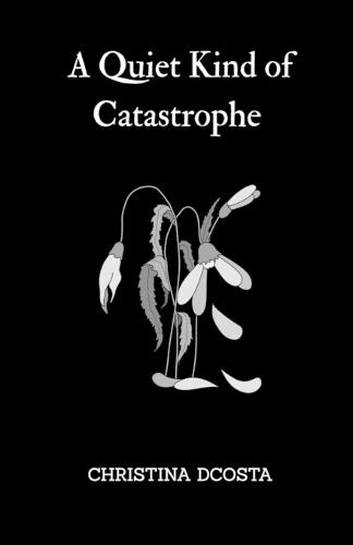 A Quiet Kind of Catastrophe