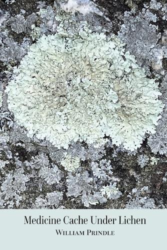 Medicine Cache Under Lichen