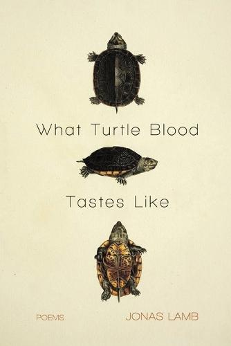 What Turtle Blood Tastes Like