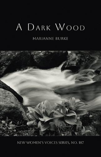 A Dark Wood