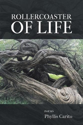 Rollercoaster of Life