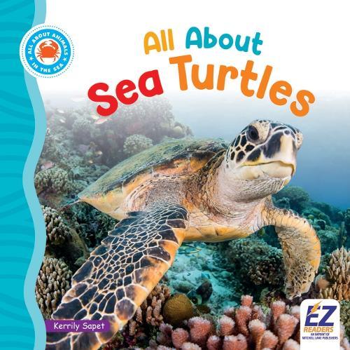 All about Sea Turtles
