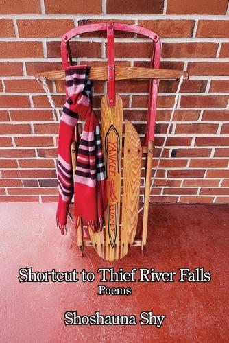 Shortcut to Thief River Falls