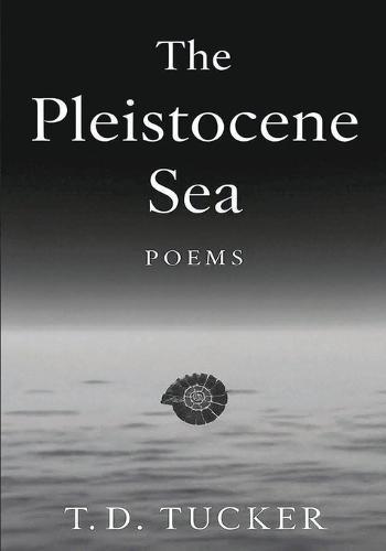 The Pleistocene Sea