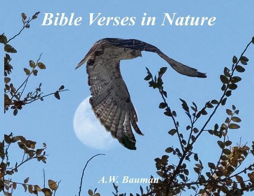 Bible Verses in Nature