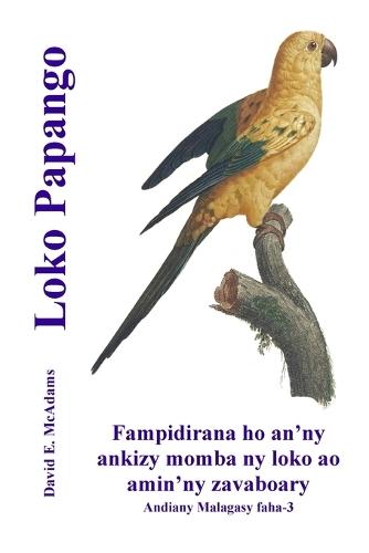 Loko Papango: Fampidirana ho an'ny ankizy momba ny loko ao amin'ny zavaboary