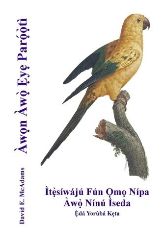 Àwọn Àwọ̀ Ẹyẹ Parọ́ọ̀tì: Ìtẹ̀síwájú Fún Ọmọ Nípa Àwọ̀ Nínú Ìseda