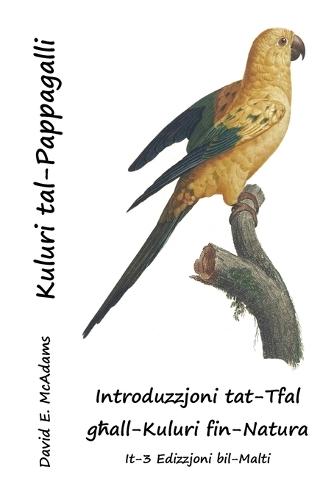 Kuluri tal-Pappagalli: Introduzzjoni tat-Tfal għall-Kuluri fin-Natura
