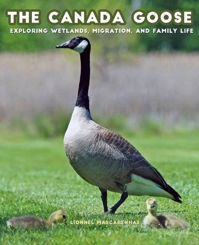 The Canada Goose: Exploring Wetlands, Migration, and Family Life