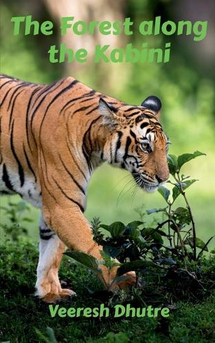 The Forest along the Kabini