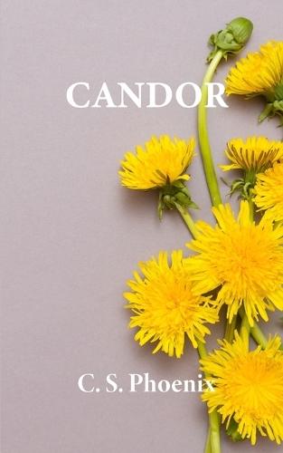 Candor: Healing the Trauma of Child Molestation, Sexual Abuse, and Rape
