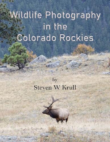 Wildlife Photography in the Colorado Rockies: Where and How to Find and Photograph Wildlife