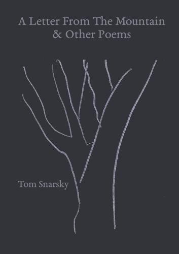 A Letter From The Mountain & Other Poems