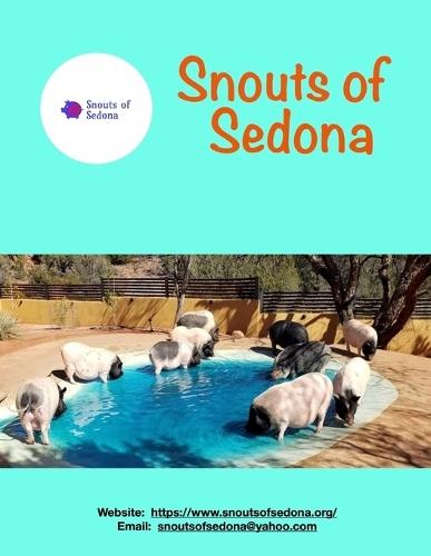 Snouts of Sedona