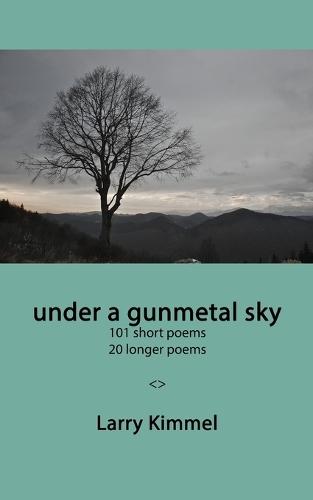 under a gunmetal sky: 101 short poems 20 longer poems