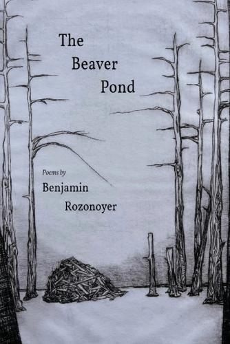 The Beaver Pond