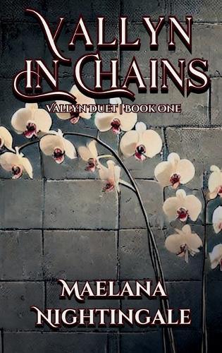 Vallyn in Chains: Vallyn Duet Book One