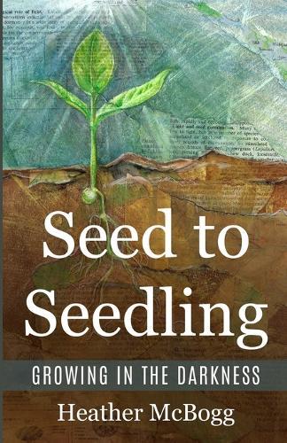 Seed to Seedling, Growing in the Darkness