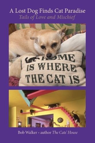 A Lost Dog Finds Cat Paradise