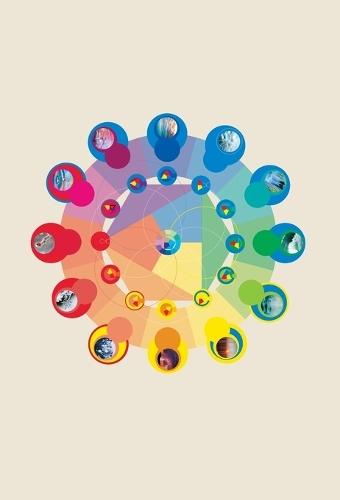 The Neurobiology of Connection: Re-Wilding Your Deep Nervous System for Wellbeing