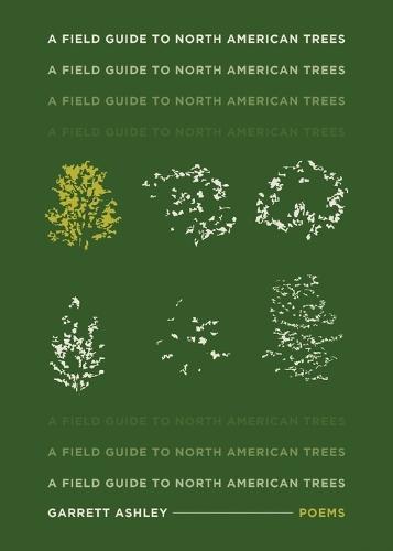 A Field Guide to North American Trees