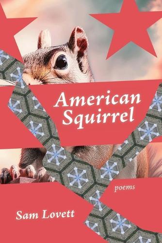 American Squirrel
