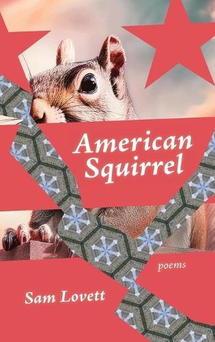 American Squirrel