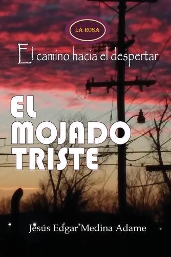 El Mojado Triste