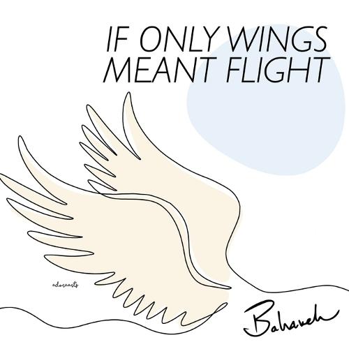 If Only Wings Meant Flight