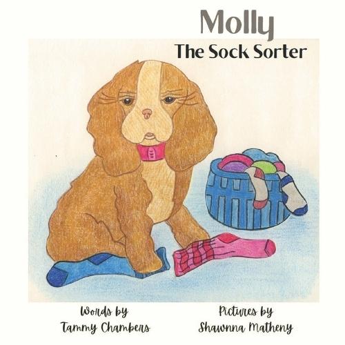 Molly the Sock Sorter