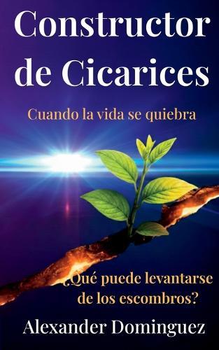 Constructor de Cicatrices