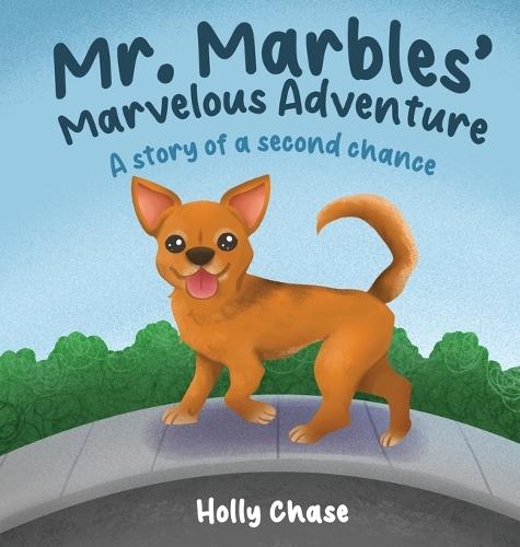 Mr. Marbles' Marvelous Adventure: A Story of a Second Chance